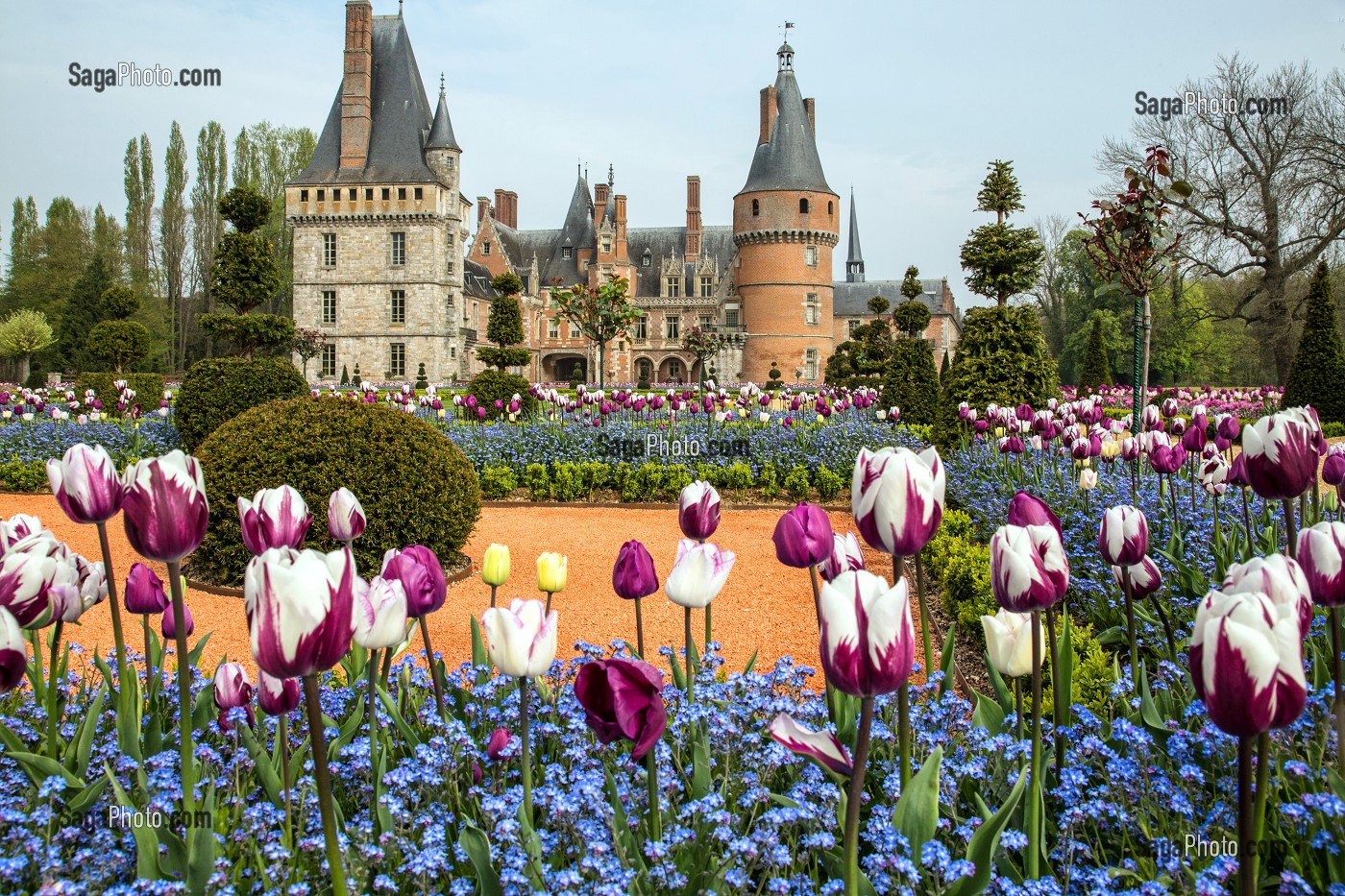 LES TULIPES DU PRINTEMPS, JARDINS A LA FRANCAISE REALISES EN 2013 SUIVANT LES PLANS D'EPOQUE D'ANDRE LE NOTRE COMMANDE PAR LOUIS XIV POUR FRANCOISE D'AUBIGNE, CHATEAU DE MAINTENON, EURE-ET-LOIR (28), FRANCE 