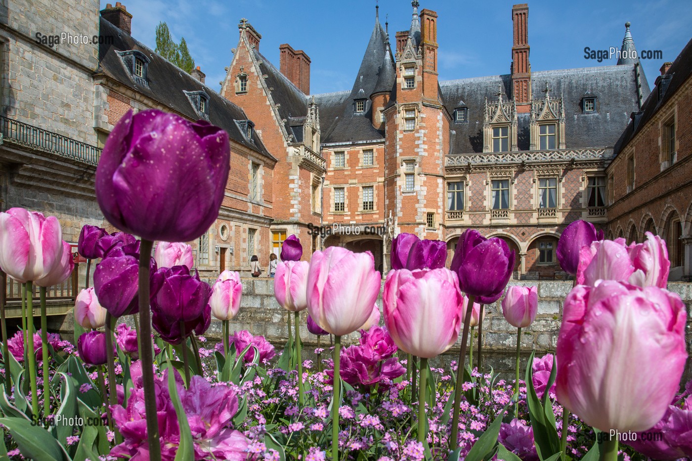 LES TULIPES DU PRINTEMPS, JARDINS A LA FRANCAISE REALISES EN 2013 SUIVANT LES PLANS D'EPOQUE D'ANDRE LE NOTRE COMMANDE PAR LOUIS XIV POUR FRANCOISE D'AUBIGNE, CHATEAU DE MAINTENON, EURE-ET-LOIR (28), FRANCE 