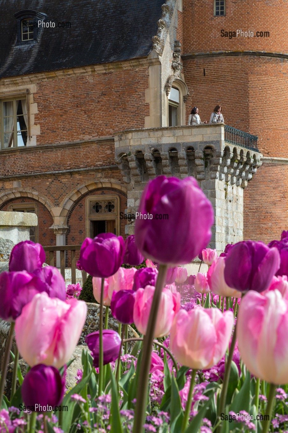 LES TULIPES DU PRINTEMPS, JARDINS A LA FRANCAISE REALISES EN 2013 SUIVANT LES PLANS D'EPOQUE D'ANDRE LE NOTRE COMMANDE PAR LOUIS XIV POUR FRANCOISE D'AUBIGNE, CHATEAU DE MAINTENON, EURE-ET-LOIR (28), FRANCE 
