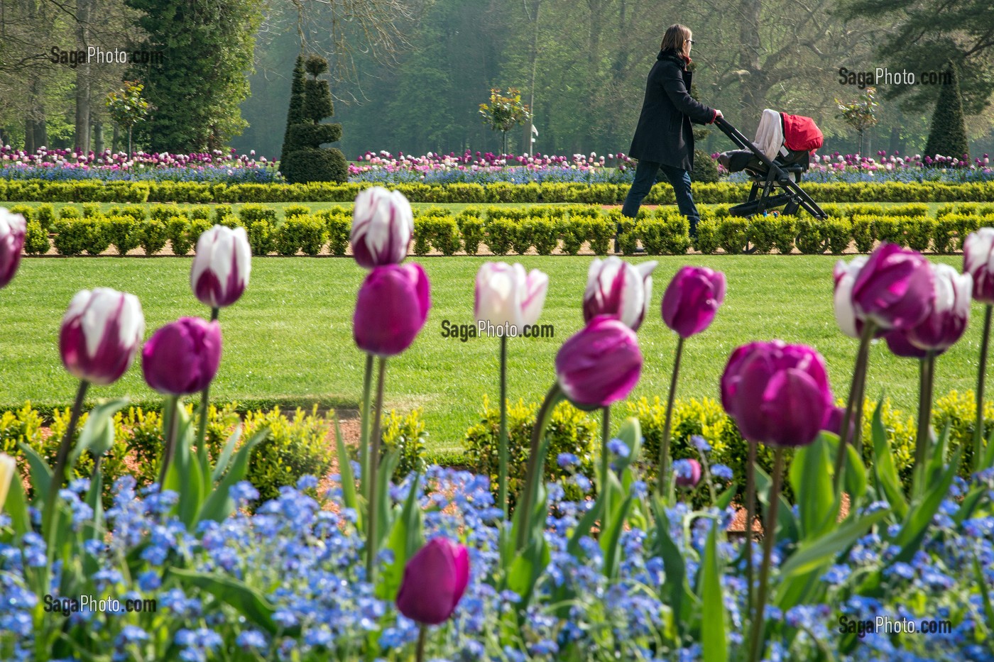 JEUNE MAMAN ET SA POUSSETTE DEVANT LES TULIPES DU PRINTEMPS, JARDINS A LA FRANCAISE REALISES EN 2013 SUIVANT LES PLANS D'EPOQUE D'ANDRE LE NOTRE COMMANDE PAR LOUIS XIV POUR FRANCOISE D'AUBIGNE, CHATEAU DE MAINTENON, EURE-ET-LOIR (28), FRANCE 
