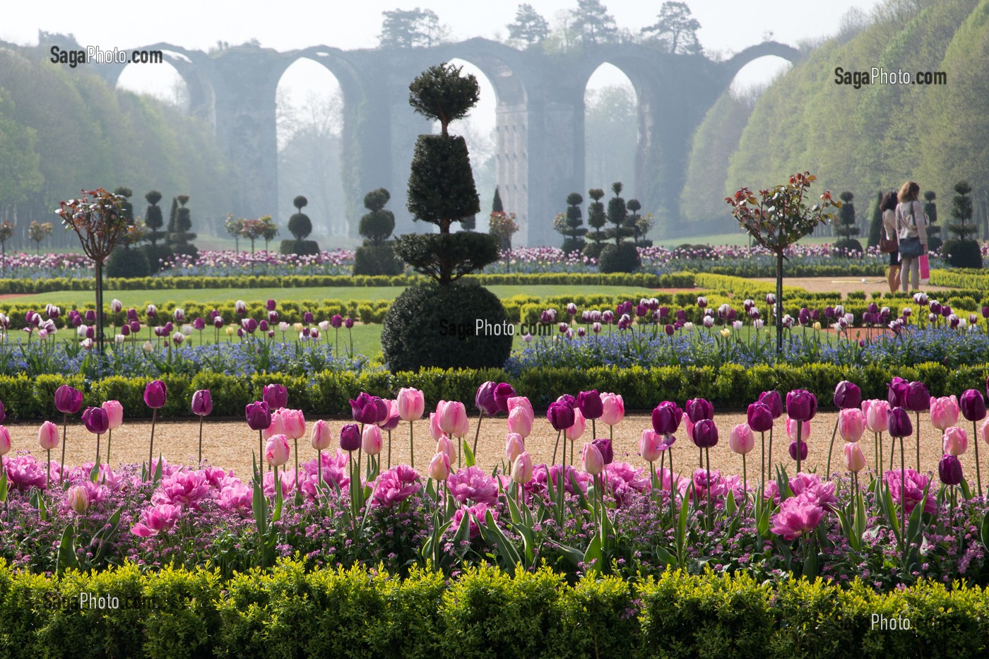 LES TULIPES DU PRINTEMPS ET L'AQUEDUC VAUBAN, JARDINS A LA FRANCAISE REALISES EN 2013 SUIVANT LES PLANS D'EPOQUE D'ANDRE LE NOTRE COMMANDE PAR LOUIS XIV POUR FRANCOISE D'AUBIGNE, CHATEAU DE MAINTENON, EURE-ET-LOIR (28), FRANCE 