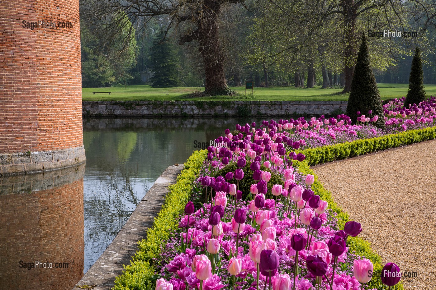 LES TULIPES DU PRINTEMPS, JARDINS A LA FRANCAISE REALISES EN 2013 SUIVANT LES PLANS D'EPOQUE D'ANDRE LE NOTRE COMMANDE PAR LOUIS XIV POUR FRANCOISE D'AUBIGNE, CHATEAU DE MAINTENON, EURE-ET-LOIR (28), FRANCE 