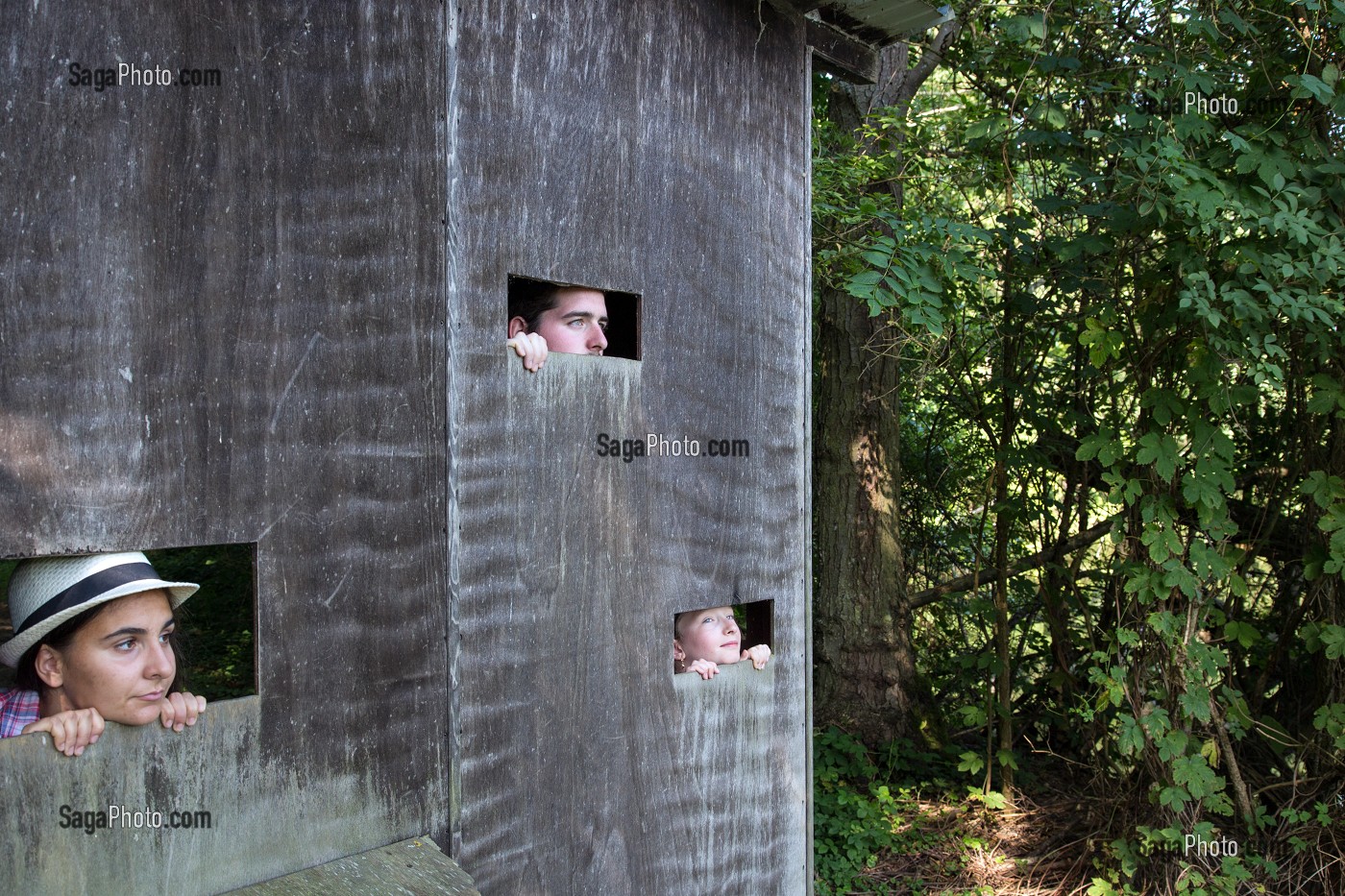 CABANE D'OBSERVATION DES OISEAUX, BALADE NATURE AUTOUR DU PLAN D'EAU DE MEZIERES-ECLUZELLES, MEZIERES-EN-DROUAIS, EURE-ET-LOIR (28), FRANCE 