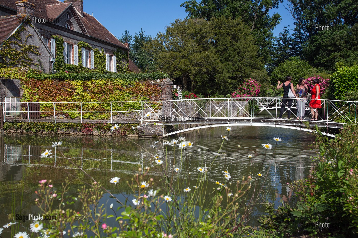 DOUVES ET JARDIN DE LA CHAMBRE D'HOTES A L'AUBERGE GRAND'MAISON, MEAUCE, EURE-ET-LOIR (28), FRANCE 