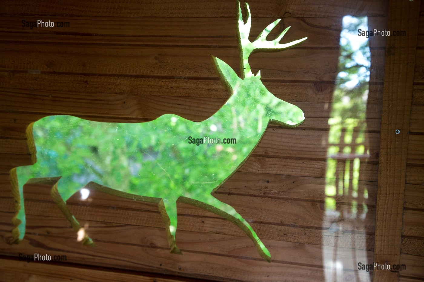 INTERIEUR DE LA CABANE PERCHEE DANS UN ARBRE DU PARC, CHAMBRE D'HOTES A L'AUBERGE GRAND'MAISON, MEAUCE, EURE-ET-LOIR (28), FRANCE 