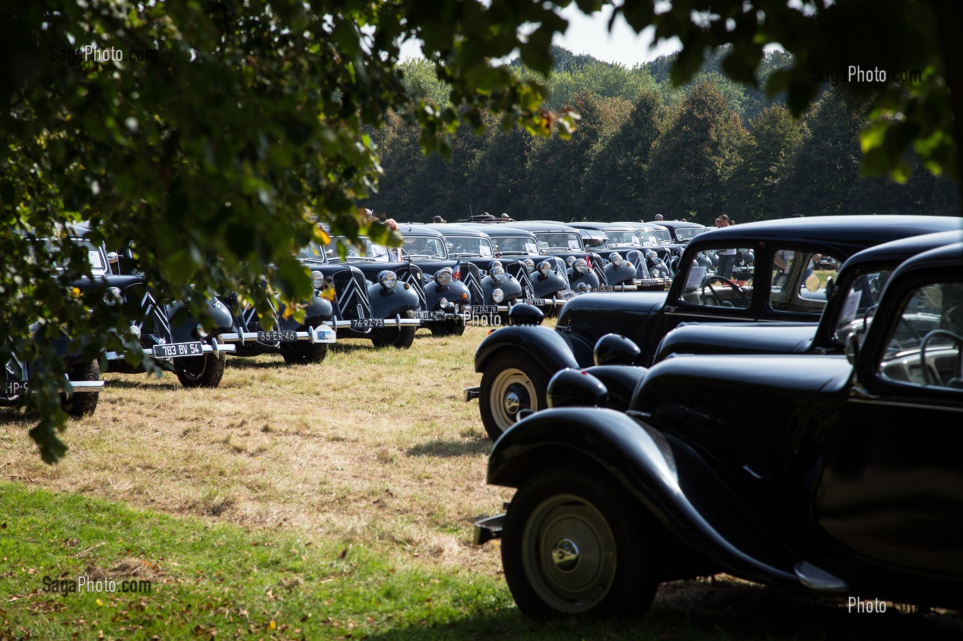 80 ANS DE LA TRACTION AVANT CITROEN, VOITURE DE LEGENDE DANS LE PARC DU CHATEAU SAINT-SIMON, LA FERTE-VIDAME, EURE-ET-LOIR (28), FRANCE 