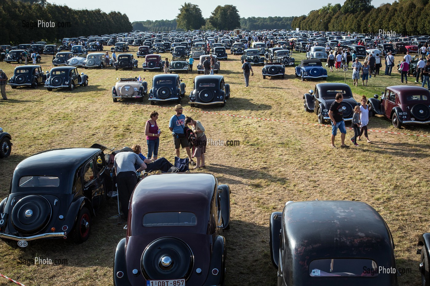 PLUS DE 1000 TRACTIONS AVANT CITROEN REUNIS POUR LES 80 ANS DE LA TRACTION, VOITURE DE LEGENDE DANS LE PARC DU CHATEAU SAINT-SIMON, LA FERTE-VIDAME, EURE-ET-LOIR (28), FRANCE 