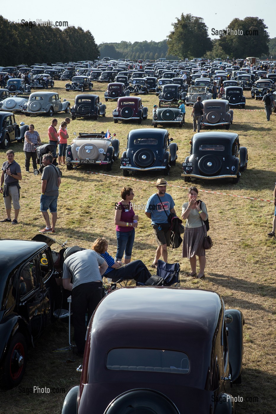 PLUS DE 1000 TRACTIONS AVANT CITROEN REUNIS POUR LES 80 ANS DE LA TRACTION, VOITURE DE LEGENDE DANS LE PARC DU CHATEAU SAINT-SIMON, LA FERTE-VIDAME, EURE-ET-LOIR (28), FRANCE 