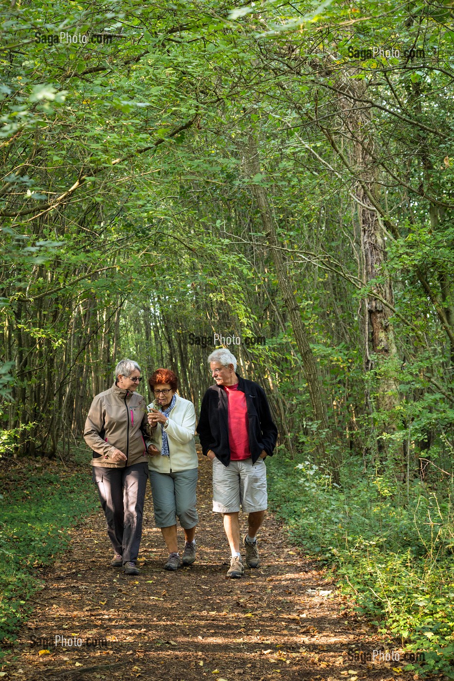 RANDONNEURS EN FORET, BONCOURT, EURE-ET-LOIR (28), FRANCE 