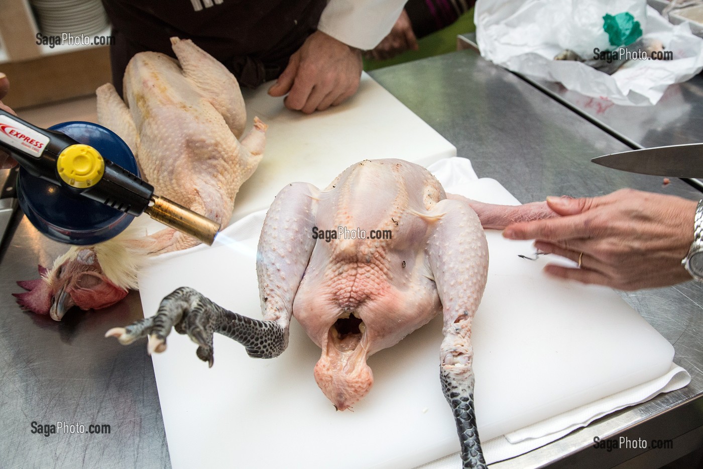 PREPARATION DU POULET AU CHALUMEAU ET DECOUPE AVANT CUISSON, CUISINE DE MARCHE AVEC LE CHEF ETOILE  LAURENT CLEMENT, 11, COURS GABRIEL, CHARTRES (28) EURE-ET-LOIR, FRANCE 