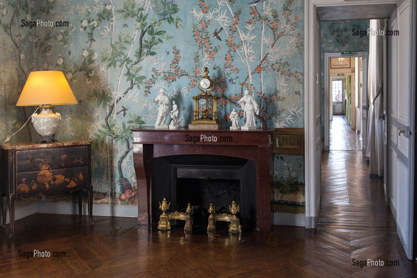 PAPIER PEINT CHINOIS DU XVIII EME SIECLE DANS LES PETITS APPARTEMENTS DU XIX EME SIECLE, CHATEAU DE MAINTENON, EURE-ET-LOIR (28), FRANCE 