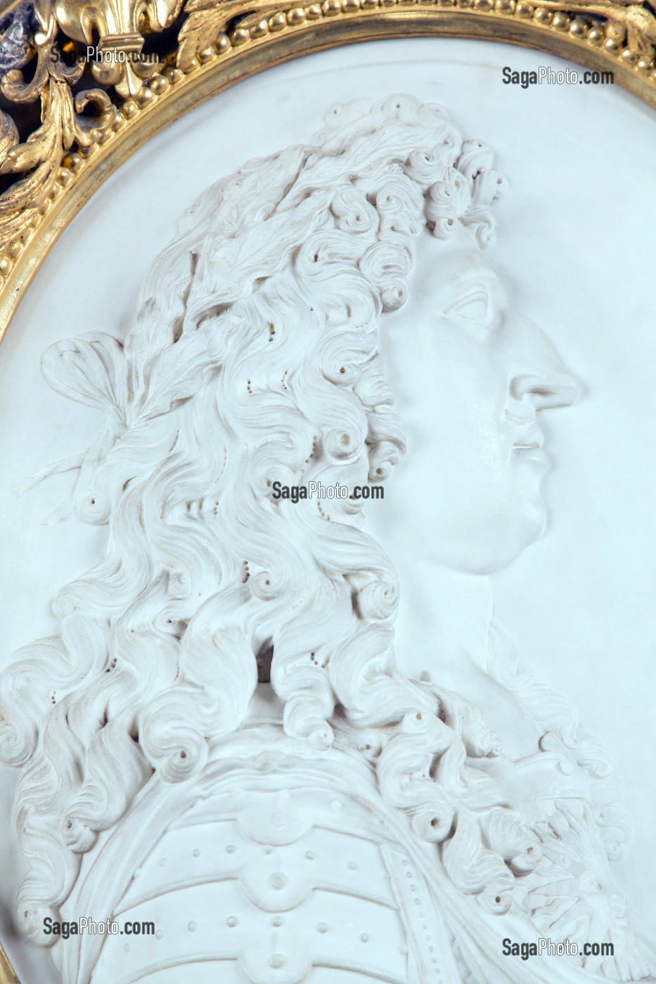 MEDAILLON REPRESENTANT LE ROI LOUIS XIV DANS LE PASSAGE DES BOISERIES, CHATEAU DE MAINTENON, EURE-ET-LOIR (28), FRANCE 