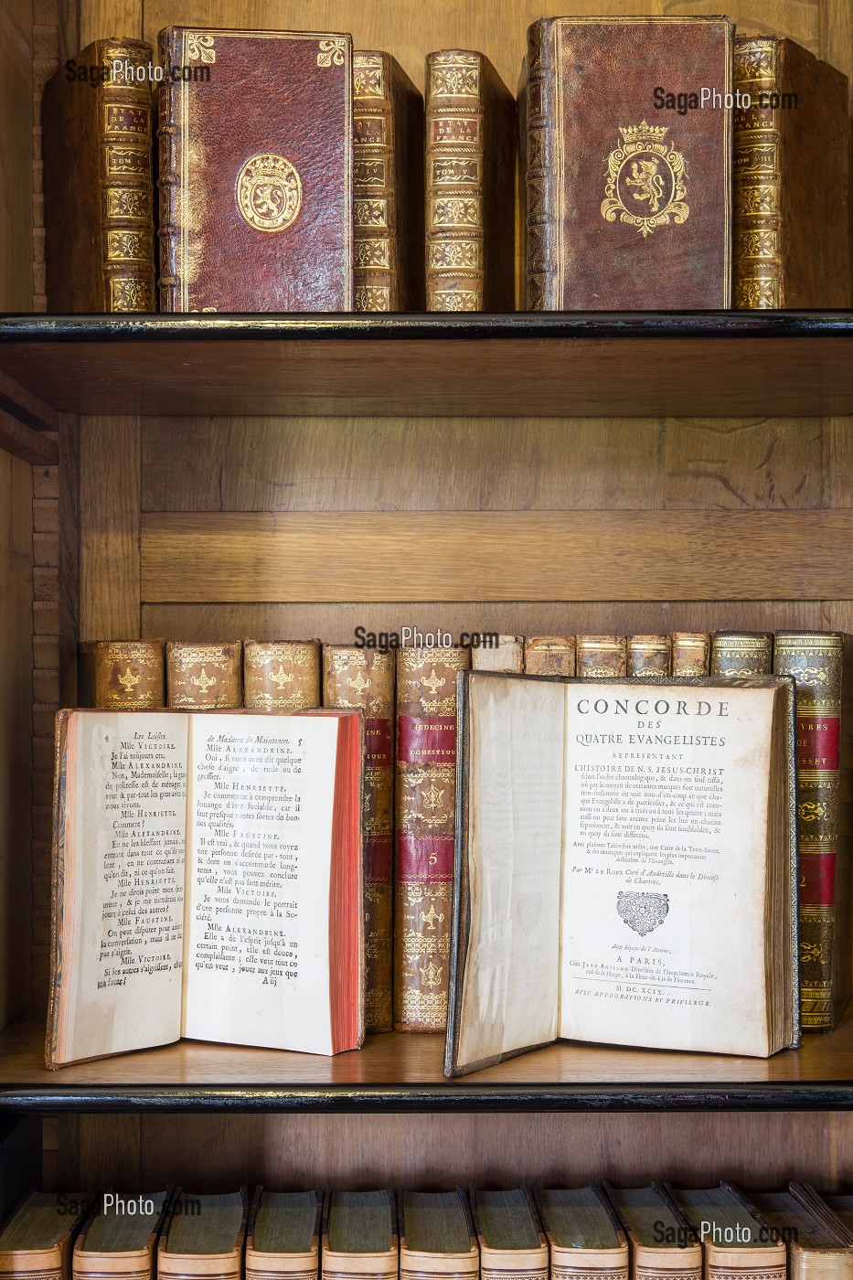 LIVRES DE MEDECINE DOMESTIQUE ET CONCORDE DES QUATRE EVANGELISTES, BIBLIOTHEQUE STYLE NAPOLEON III, CHATEAU DE MAINTENON, EURE-ET-LOIR, FRANCE 