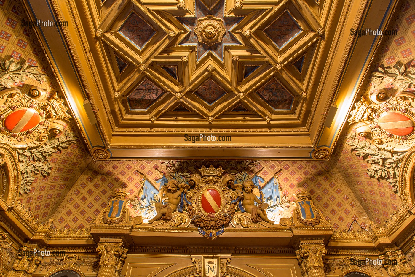 ARMES DE LA FAMILLE DE NOAILLES, DETAIL DU PLAFOND PEINT DE LA GRANDE GALERIE, CHATEAU DE MAINTENON, EURE-ET-LOIR (28), FRANCE 