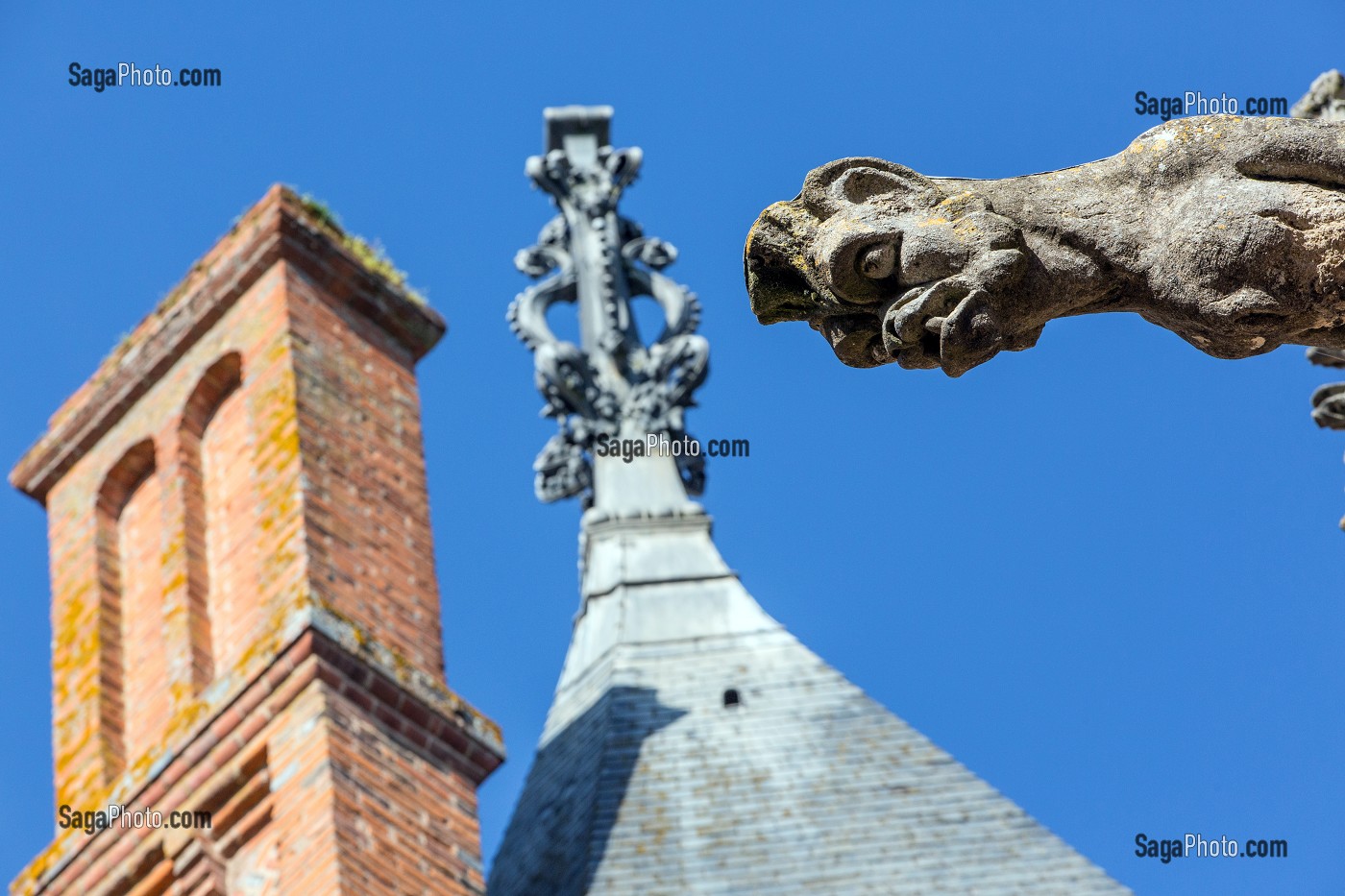 GARGOUILLE ET CHIMERE SUR LES  TOITS, CHATEAU DE MAINTENON, EURE-ET-LOIR (28), FRANCE 