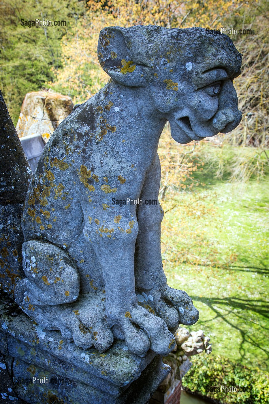 CHIMERE , CHATEAU DE MAINTENON, EURE-ET-LOIR (28), FRANCE 