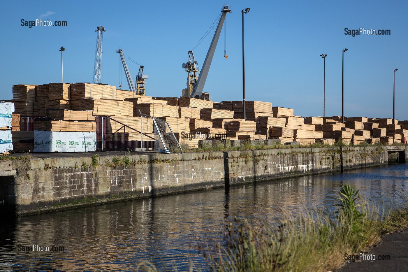 STOCKAGE DE BOIS POUR L'EXPORTATION, PORT DE COMMERCE DE SAINT-MALO, ILLE-ET-VILAINE (35), FRANCE 