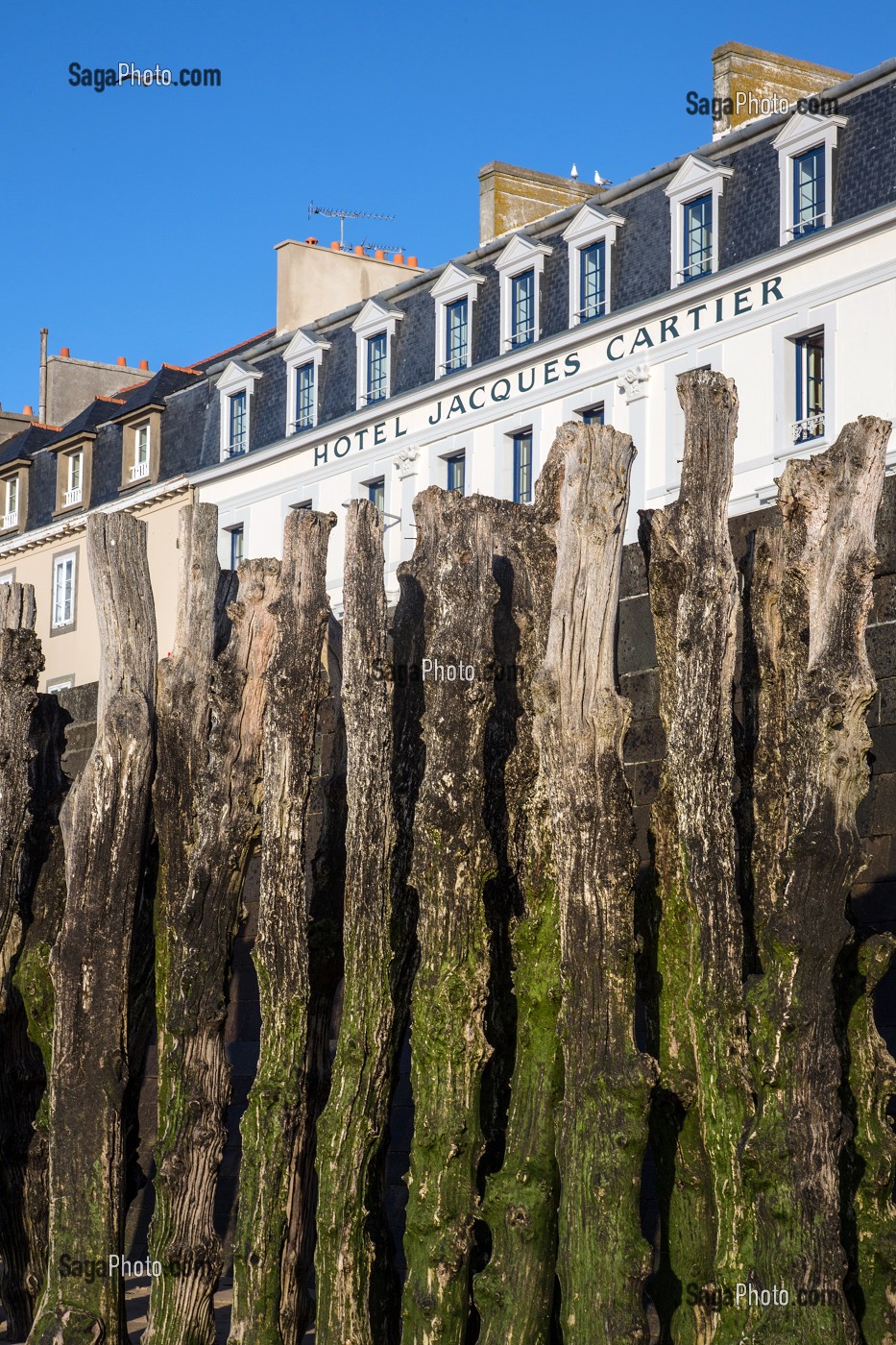 PIEUX EN BOIS DE CHENE POUR PROTEGER LA DIGUE ET LES MAISONS DES FLOTS A MAREE HAUTE  DEVANT L'HOTEL JACQUES CARTIER, SAINT-MALO, ILLE-ET-VILAINE (35), FRANCE 