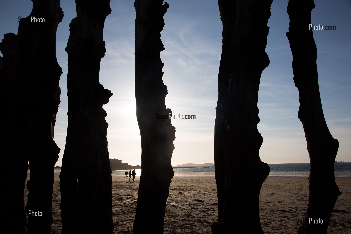 PIEUX EN BOIS DE CHENE POUR PROTEGER LA DIGUE ET LES MAISONS DES FLOTS A MAREE HAUTE, PLAGE DU SILLON, SAINT-MALO, ILLE-ET-VILAINE (35), FRANCE 