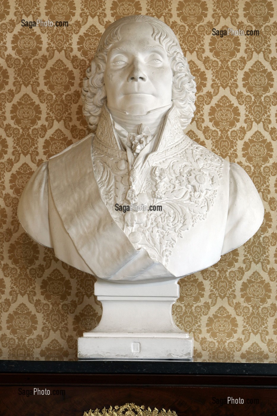 BUSTE DE CHARLES-MAURICE DE TALLEYRAND-PERIGORD (1754-1838), CHATEAU DE VALENCAY, INDRE (36), FRANCE 