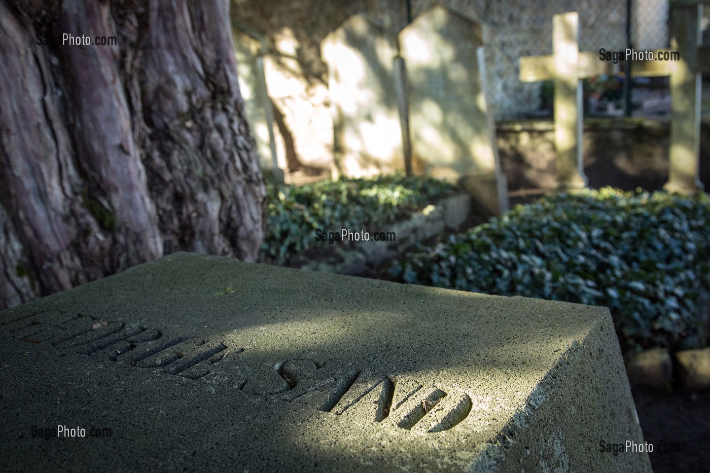 TOMBE DE GEORGE SAND DANS LE CIMETIERE FAMILIAL, DOMAINE GEORGE SAND, LA VALLEE NOIRE ET LE ROMANTISME DANS LE BERRY, NOHANT-VIC (36), FRANCE 