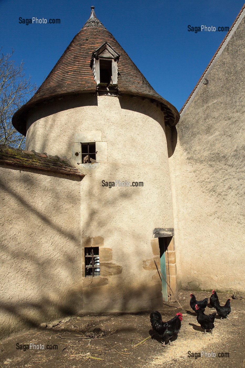 POULAILLER ET LES POULES NOIRES DU BERRY, DOMAINE GEORGE SAND, LA VALLEE NOIRE ET LE ROMANTISME DE GEORGE SAND DANS LE BERRY, NOHANT-VIC (36), FRANCE 