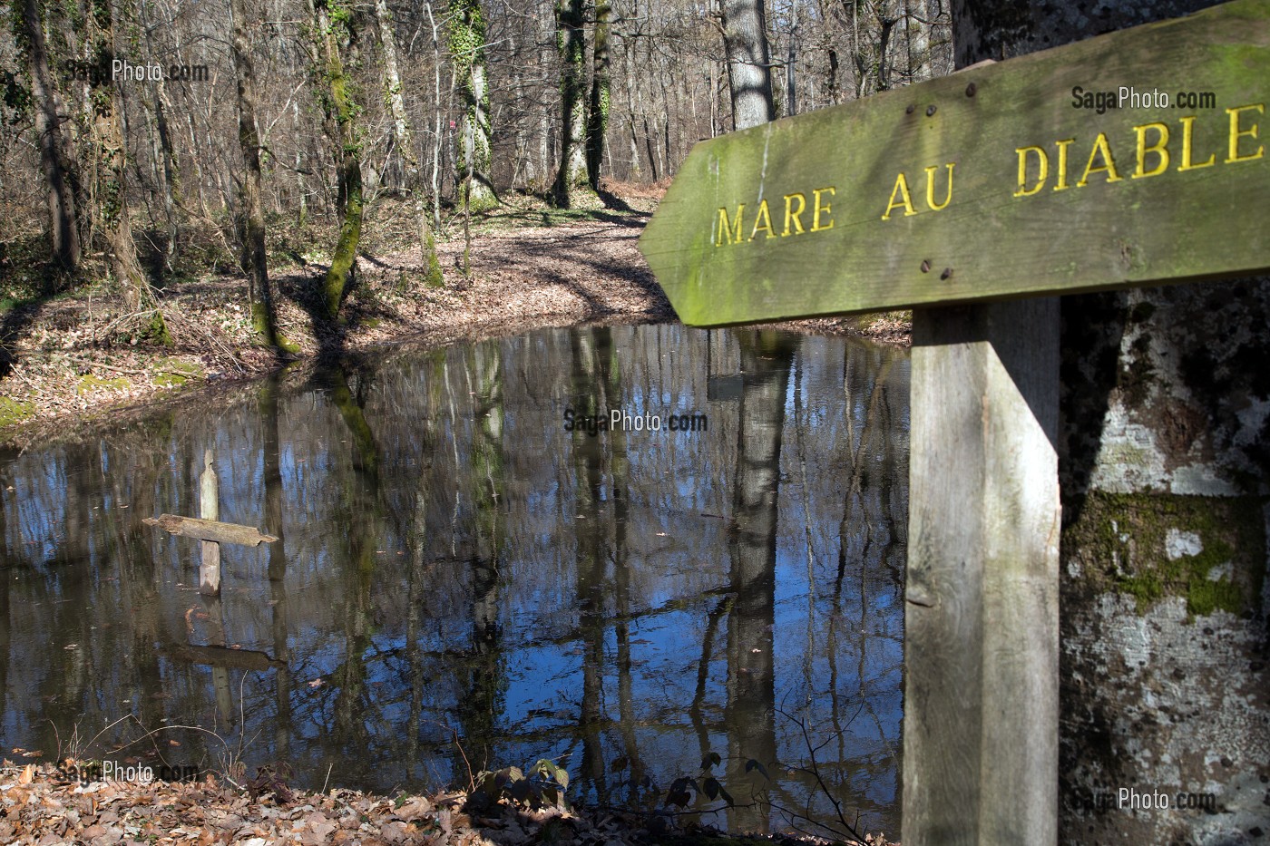 LA MARE AU DIABLE, FORET DE MERS-SUR-INDRE, TITRE DU ROMAN DE GEORGE SAND, LA VALLEE NOIRE DANS LE BERRY (36), FRANCE 