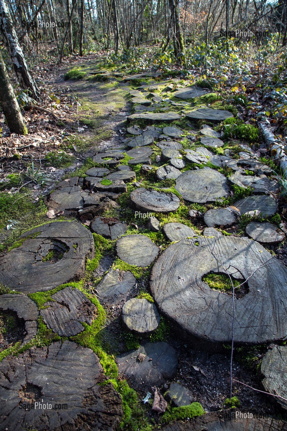 SENTIER EN RONDIN DE BOIS, LE PARC DE PARELLES, ANCIENNE CARRIERE DE GRANIT, SOURCE D'INSPIRATION DES LEGENDES RUSTIQUES DE GEORGE SAND, CREVANT, LA VALLEE NOIRE DANS LE BERRY (36), FRANCE 