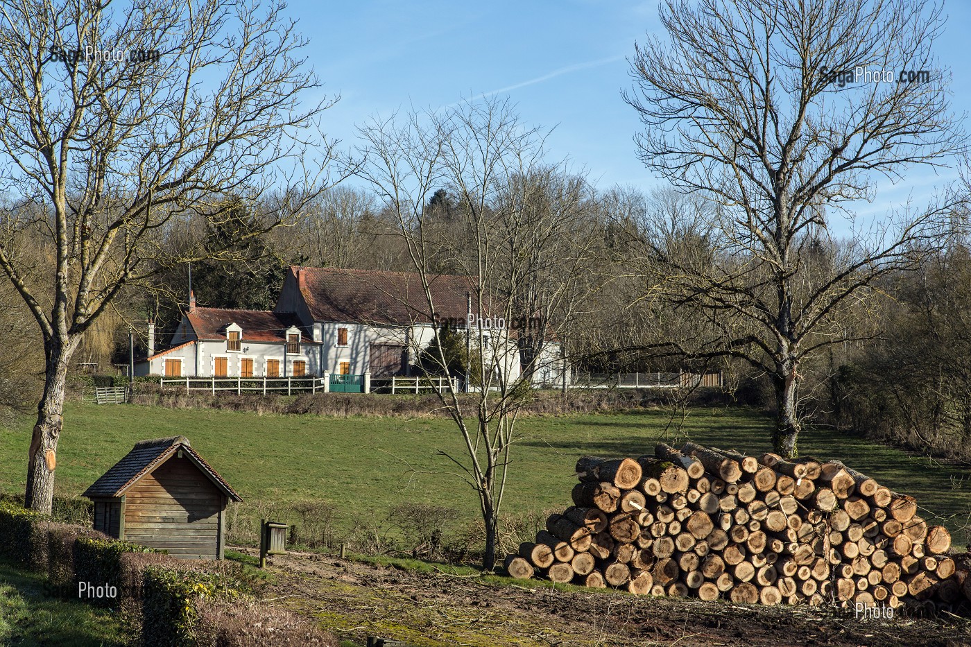 PAYSAGE BERRICHON ET BOIS DE CHAUFFE, VERNEUIL-SUR-IGNERAIE, LA VALLEE NOIRE DE GEORGE SAND DANS LE BERRY (36), FRANCE 
