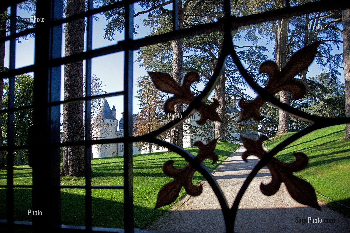 DETAIL DES GRILLES DES ECURIES DU CHATEAU DE CHAUMONT-SUR-LOIRE, LOIR-ET-CHER (41), FRANCE 