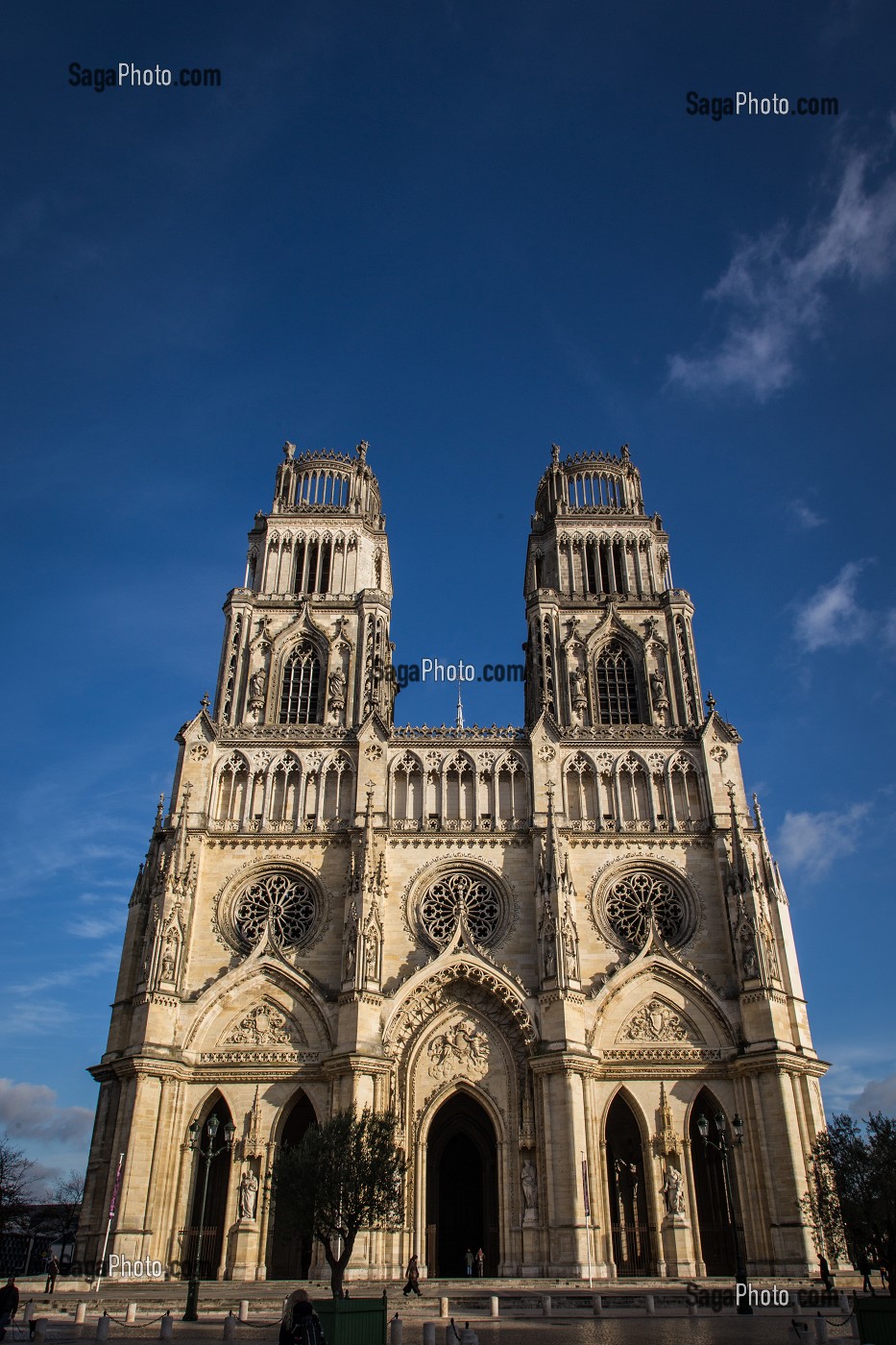 LA CATHEDRALE SAINTE-CROIX, CONSTRUITE AU 12 EME SIECLE, SON NOM PROVIENT D'UNE RELIQUE DE LA CROIX DU CHRIST QU'ELLE ABRITAIT AUTREFOIS, ORLEANS, (45) LOIRET, CENTRE, FRANCE 