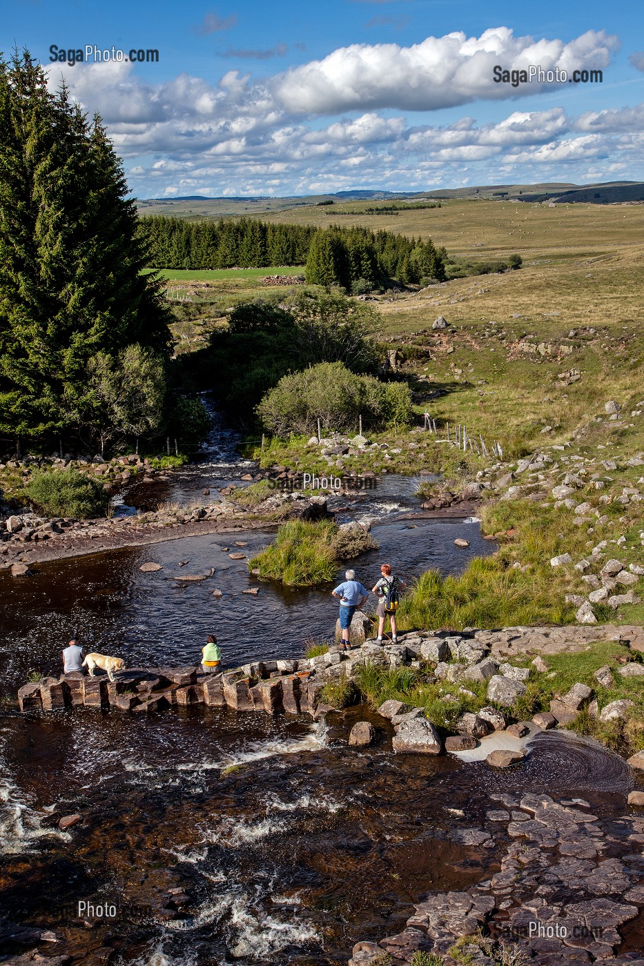 BALADE TOURISTIQUE SUR LA RIVIERE LA PLECHES, NASBINALS, LOZERE (48), AUBRAC, FRANCE 
