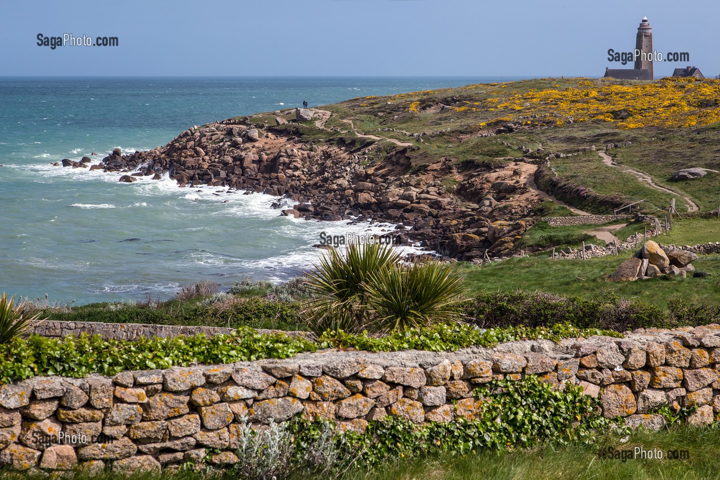 PAYSAGE LITTORAL AVEC VUE SUR LE PHARE DU CAP LEVI, FERMANVILLE, MANCHE (50), FRANCE 