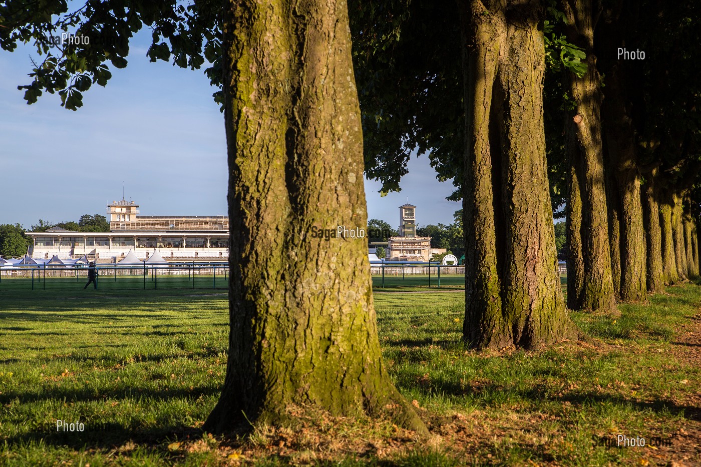 PARC DE L'HIPPODROME DE CHANTILLY, OISE (60), FRANCE 