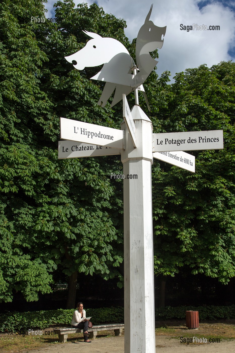 PANNEAUX D'ORIENTATION SURMONTES DE TETES DE CHEVAUX, EN BORDURE DE LA FORET DU DOMAINE DE CHANTILLY, OISE (60), FRANCE 
