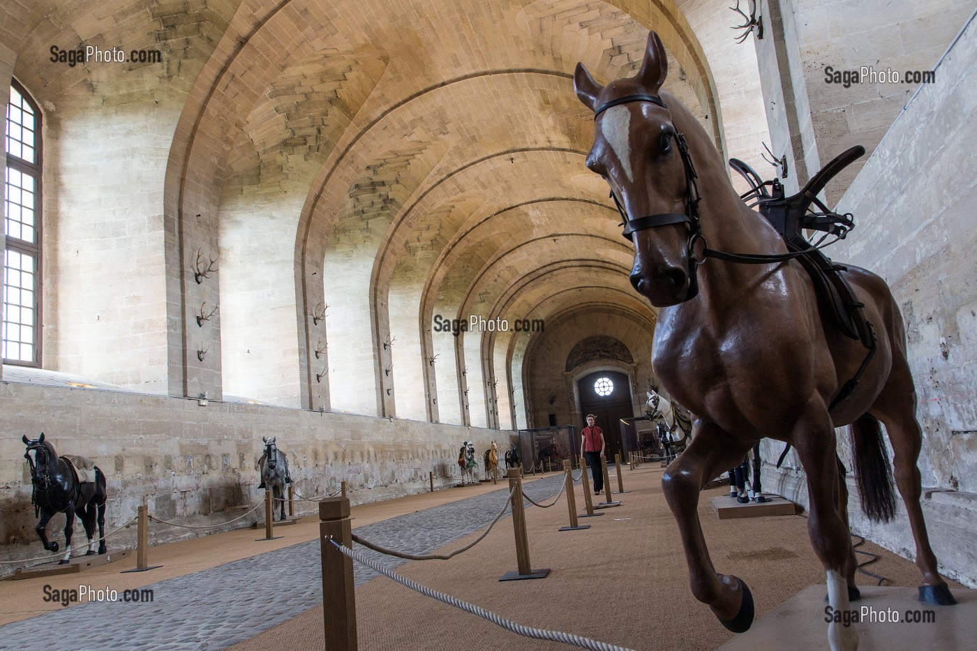 GALERIE DES DISCIPLINES EQUESTRES, NOUVEAU MUSEE DU CHEVAL, OUVERT EN 2013, AMENAGE DANS LES GRANDES ECURIES DU DOMAINE DU CHATEAU DE CHANTILLY, OISE (60), FRANCE 