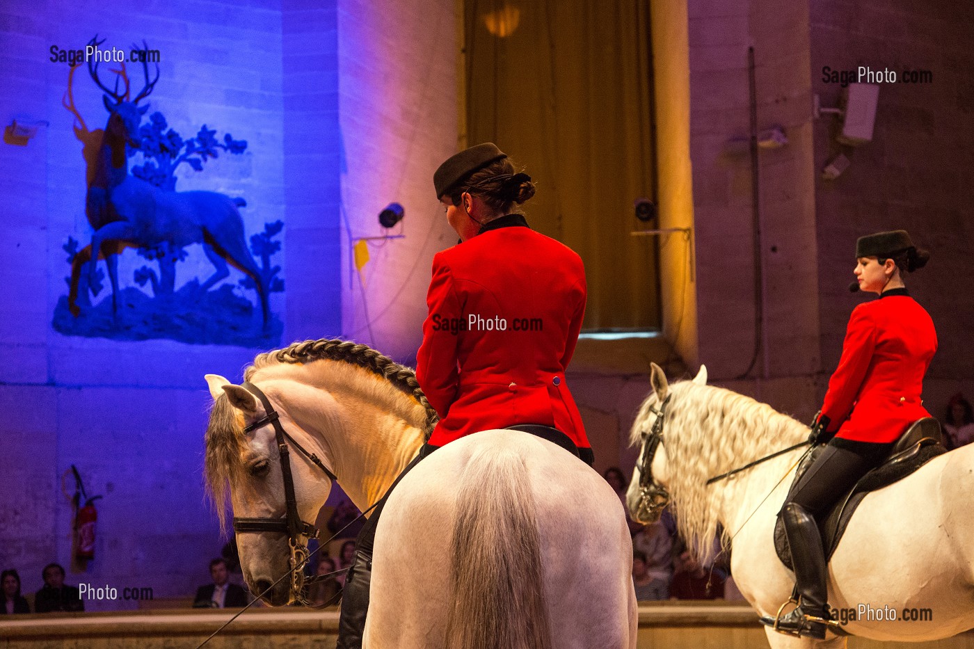 SPECTACLE EQUESTRE SOUS LE DOME DES GRANDES ECURIES, NOUVEAU MUSEE DU CHEVAL, OUVERT EN 2013, ABRITE DANS LES GRANDES ECURIES DU DOMAINE DU CHATEAU DE CHANTILLY, OISE (60), FRANCE 