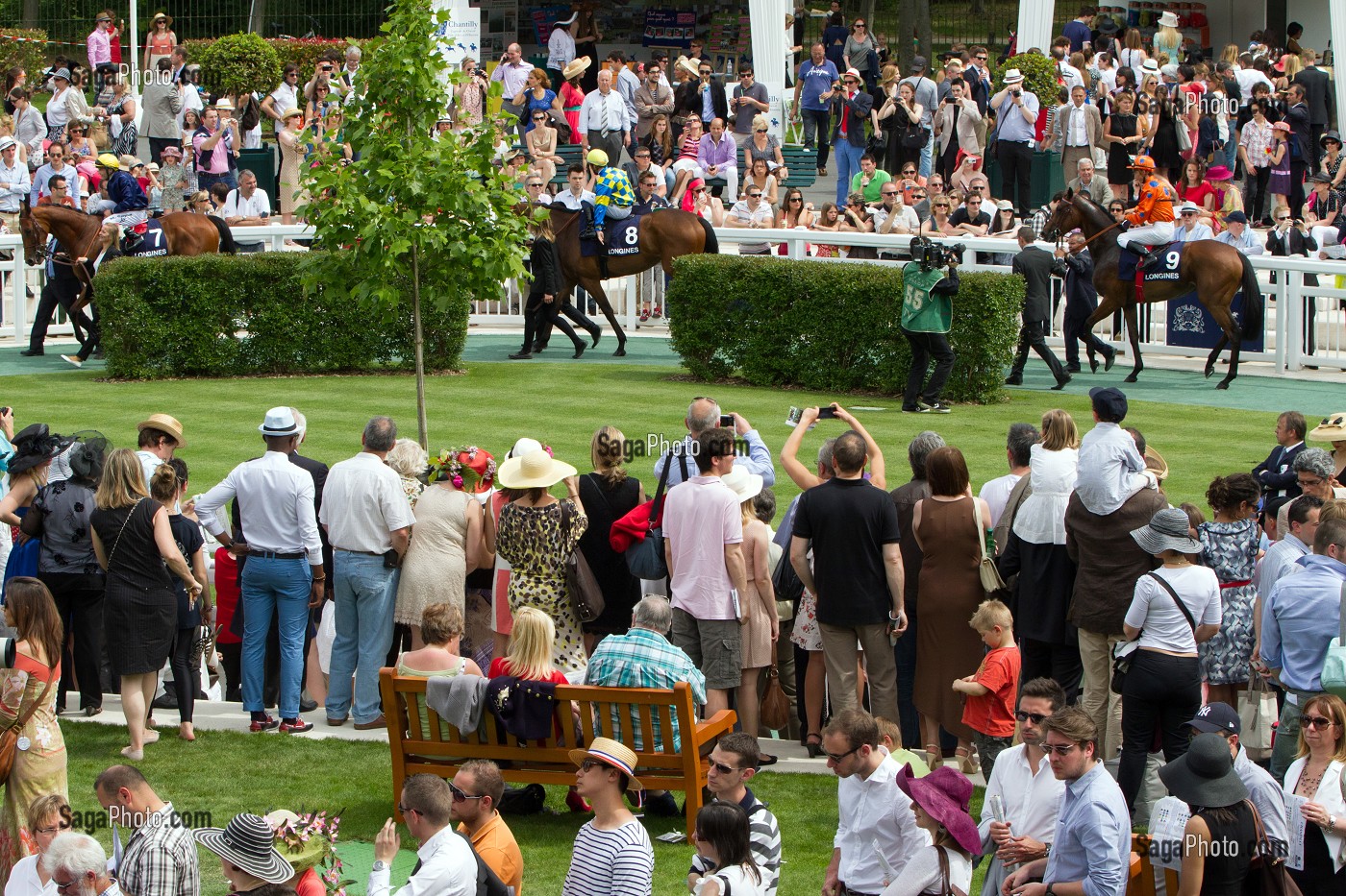 PUBLIC CHIC ET ELEGANT AU ROND DE PRESENTATION DES CHEVAUX, COURSE HIPPIQUE DU PRIX DE DIANE LONGINES 2013, HIPPODROME DE CHANTILLY, OISE (60), FRANCE 