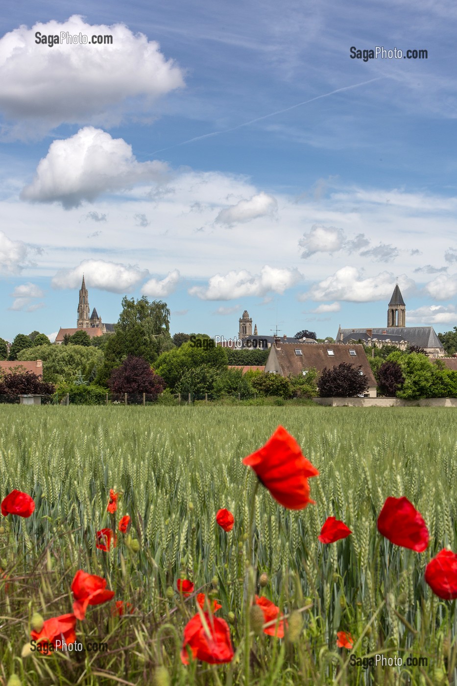 VUE GENERALE DE LA VILLE DE SENLIS AVEC SES CLOCHERS, DEPUIS LA UN CHAMP DE BLE, SENLIS, OISE (60), FRANCE 