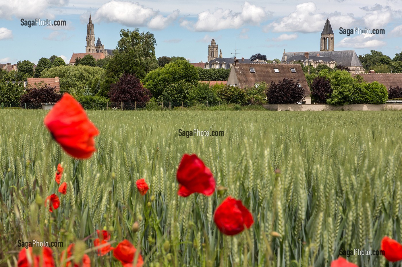 VUE GENERALE DE LA VILLE DE SENLIS AVEC SES CLOCHERS, DEPUIS LA UN CHAMP DE BLE, SENLIS, OISE (60), FRANCE 