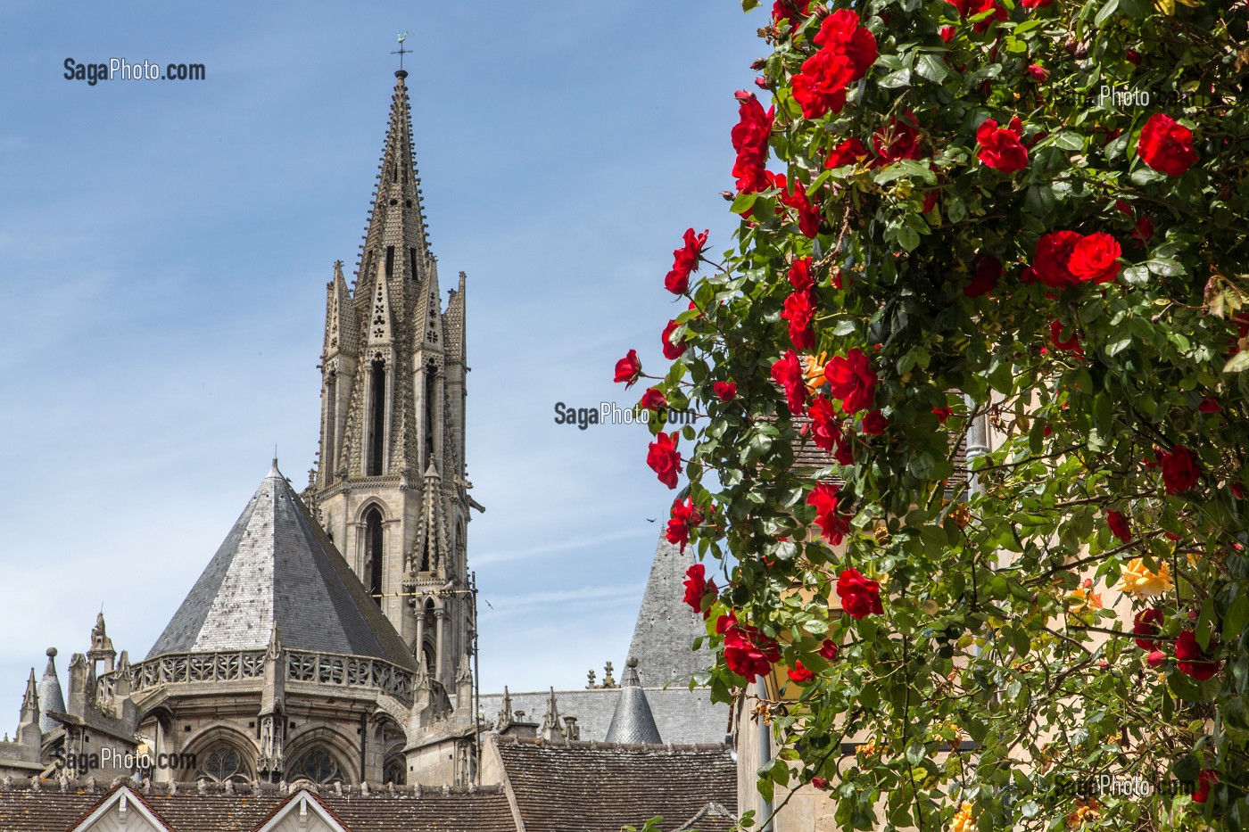 CHEVET ET FLECHE DE LA CATHEDRALE GOTHIQUE NOTRE-DAME, SECTEUR SAUVEGARDE, QUARTIER HISTORIQUE DE SENLIS, OISE (60), FRANCE 