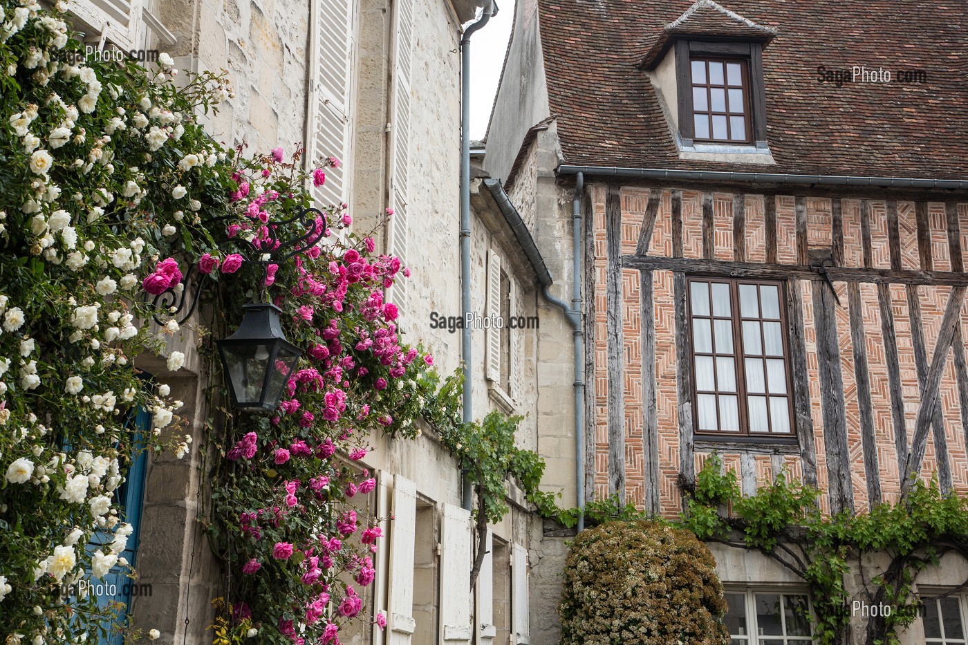 MAISONS COUVERTE DE ROSIERS FLEURIS ET MAISON MEDIEVALE A COLOMBAGES ET BRIQUES ROUGES, SENLIS, OISE (60), FRANCE 