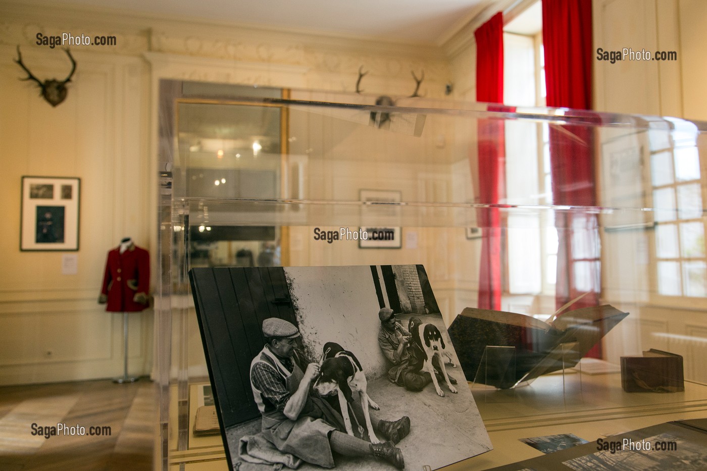 SALLE DES EXPOSITIONS TEMPORAIRES, MUSEE DE LA VENERIE AMENAGE DES 1935 DANS L'ANCIEN PRIEURE SAINT-MAURICE, PARC DU CHATEAU ROYAL, SENLIS, OISE (60), FRANCE 