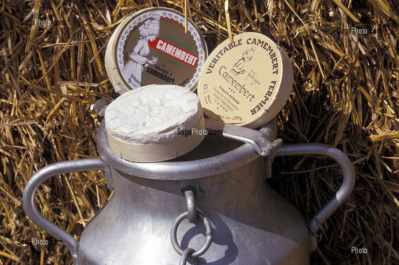 LE VRAI CAMEMBERT AU LAIT CRU DE DURAND, CAMEMBERT, ORNE (61), NORMANDIE, FRANCE 