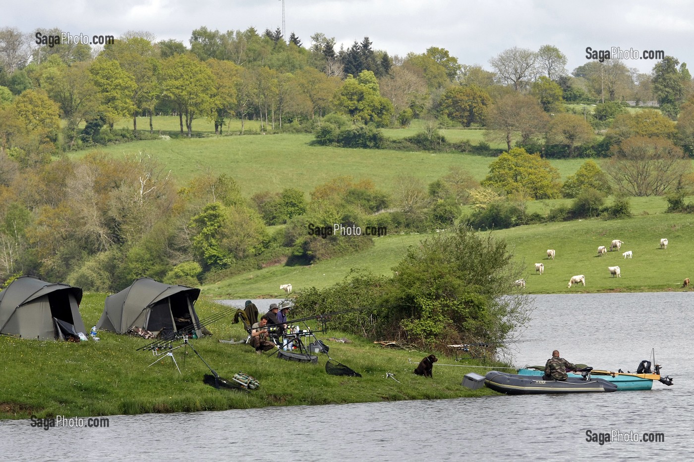 PECHEURS AVEC LEURS TENTES POUR UNE PARTIE DE PECHE A LA CARPE SUR LES BERGES DU LAC DE RABODANGES, SUISSE NORMANDE, ORNE (61), FRANCE 