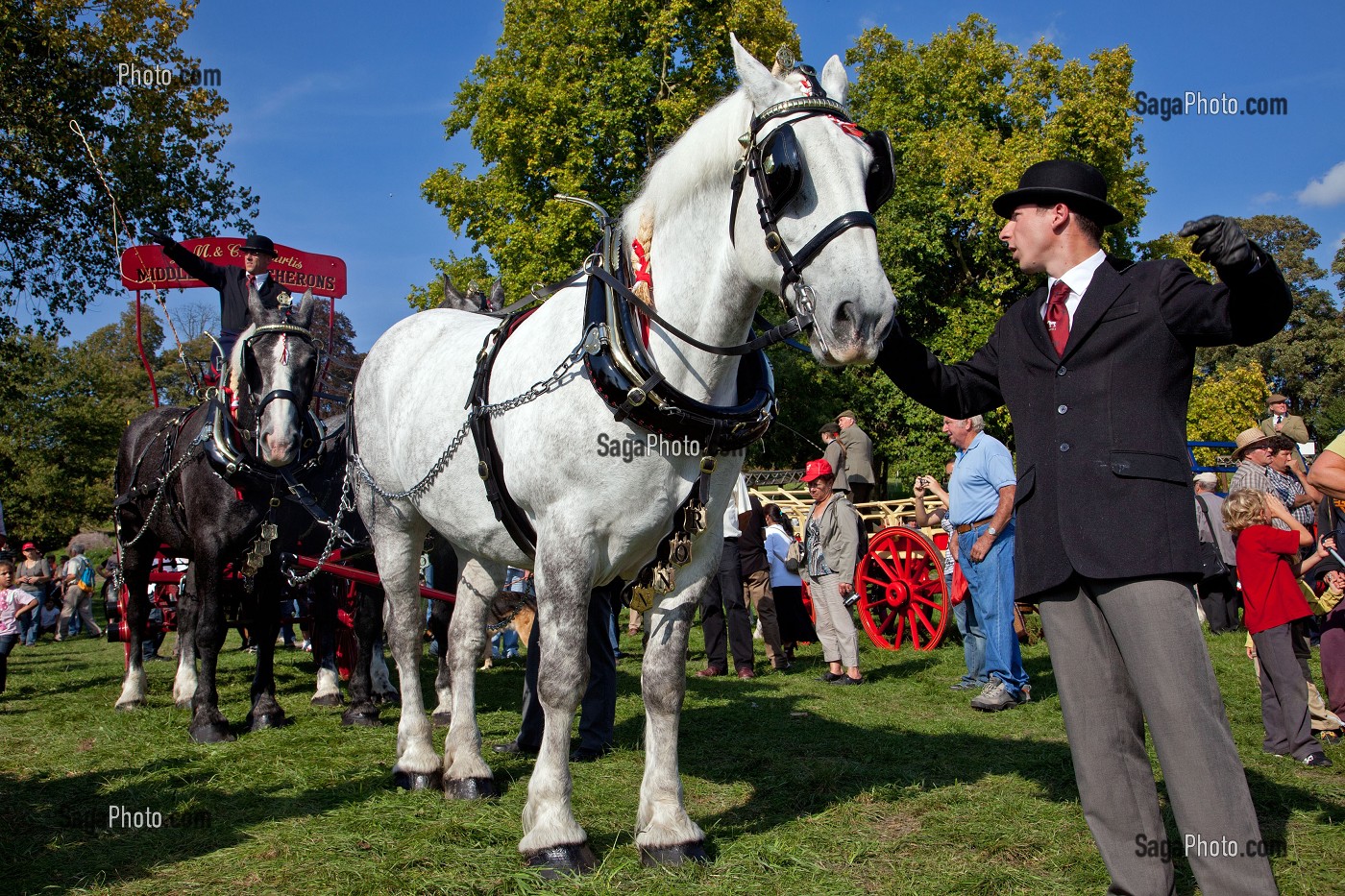 CONGRES MONDIAL DU CHEVAL PERCHERON, NORMANDIE, FRANCE 