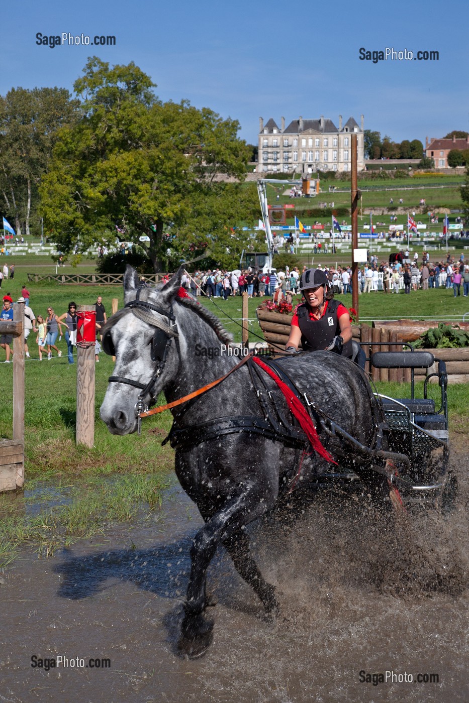 CONGRES MONDIAL DU CHEVAL PERCHERON, NORMANDIE, FRANCE 