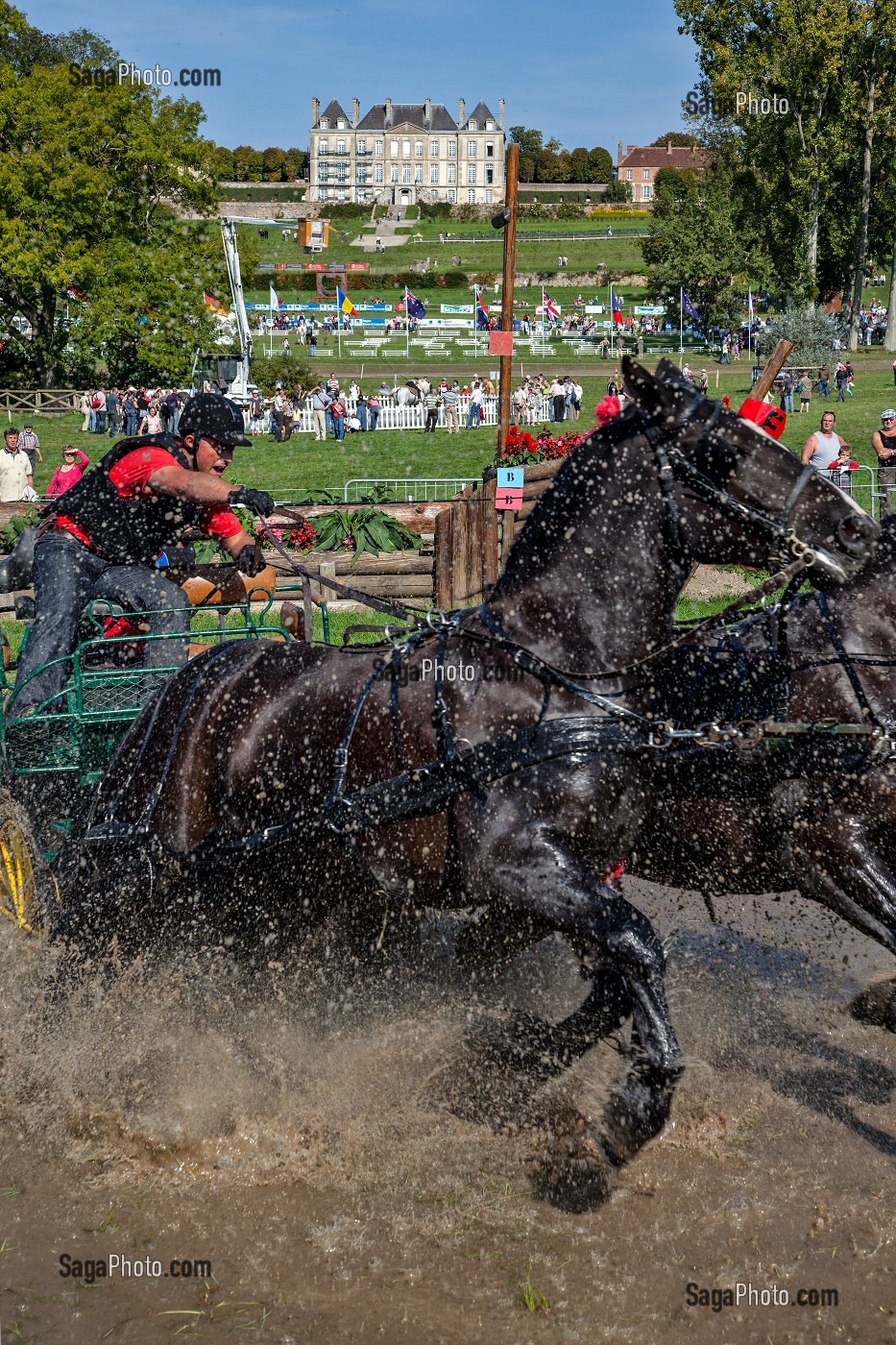 CONCOURS DE TREK AVEC DES CHEVAUX PERCHERONS ATTELES, 15EME CONGRES MONDIAL DU CHEVAL PERCHERON, DU 23 AU 25 SEPTEMBRE 2011, HARAS DU PIN, LE PIN-AU-HARAS, ORNE (61), NORMANDIE, FRANCE 