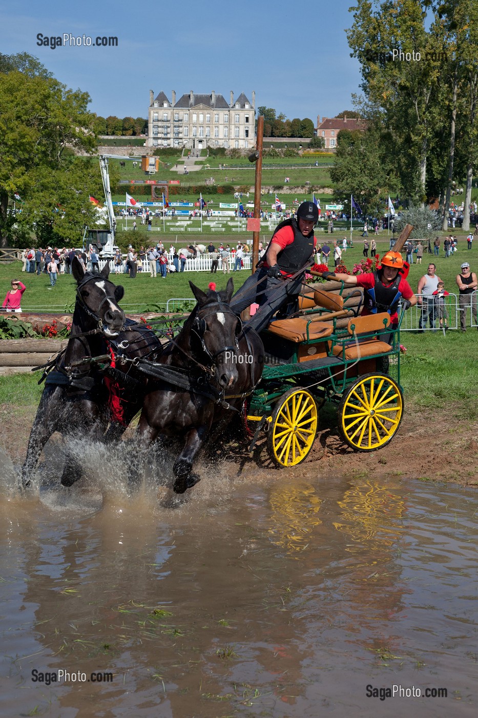 CONGRES MONDIAL DU CHEVAL PERCHERON, NORMANDIE, FRANCE 