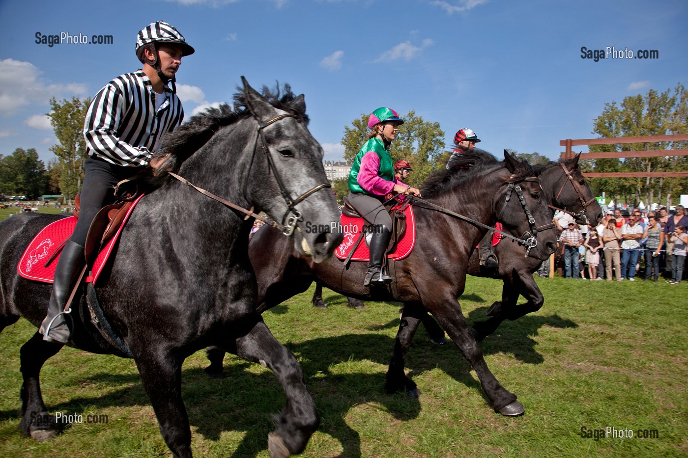 CONGRES MONDIAL DU CHEVAL PERCHERON, NORMANDIE, FRANCE 